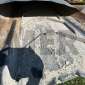 ARJES IMPAKTOR 250 d'occasion